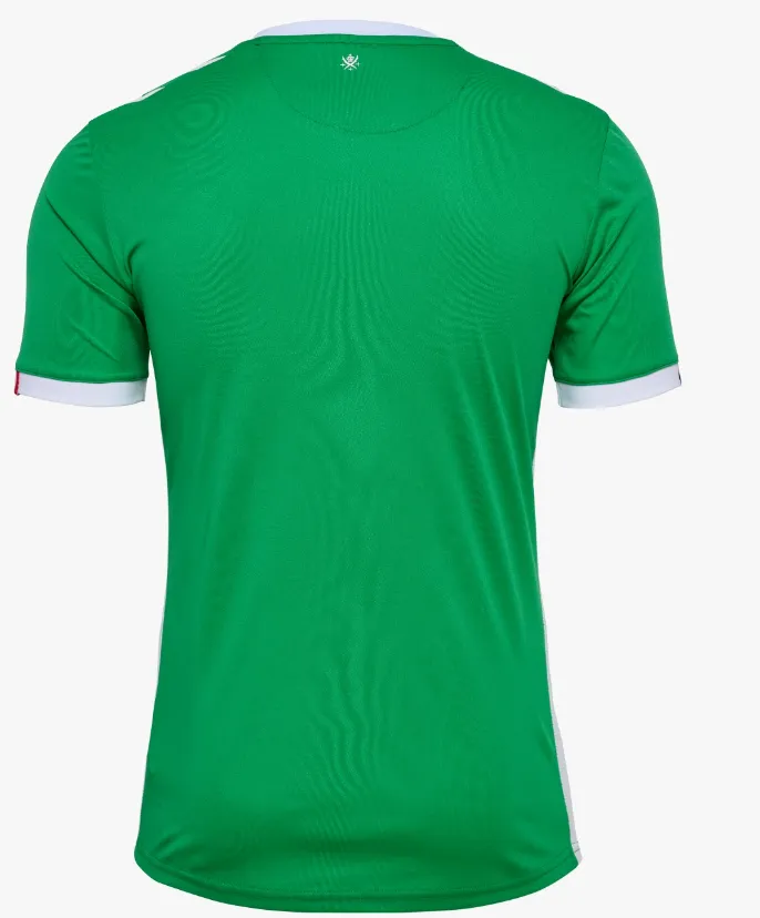 AS-Saint-Etienne-2024-25-Home-Jersey-Back.webp