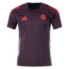 Bayern-Munich-2024-25-Training-Jersey.webp