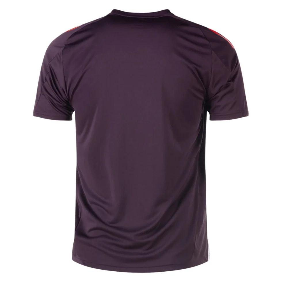 Bayern-Munich-2024-25-Training-Jersey-Back.webp