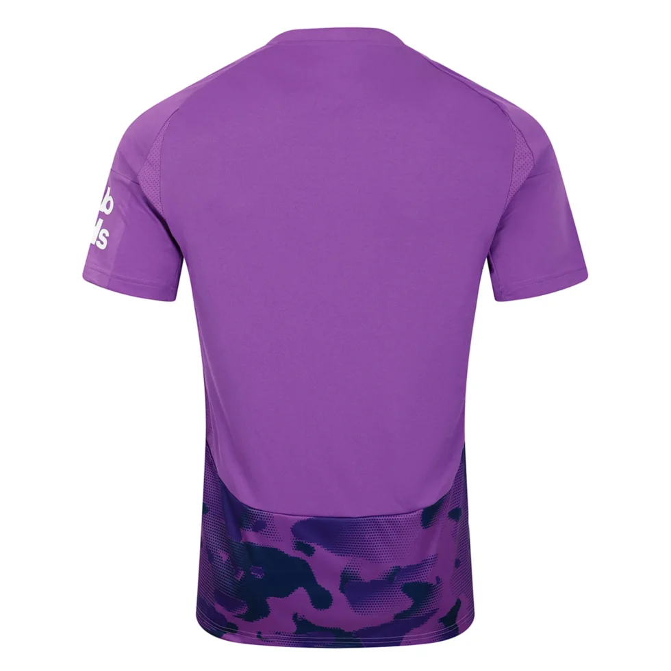 Fulham-2024-25-Third-Jersey-Back.webp