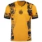 Inter-Milan-2024-25-Third-Jersey.webp