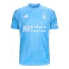 Nottingham-Forest-2024-25-Third-Jersey.jpg