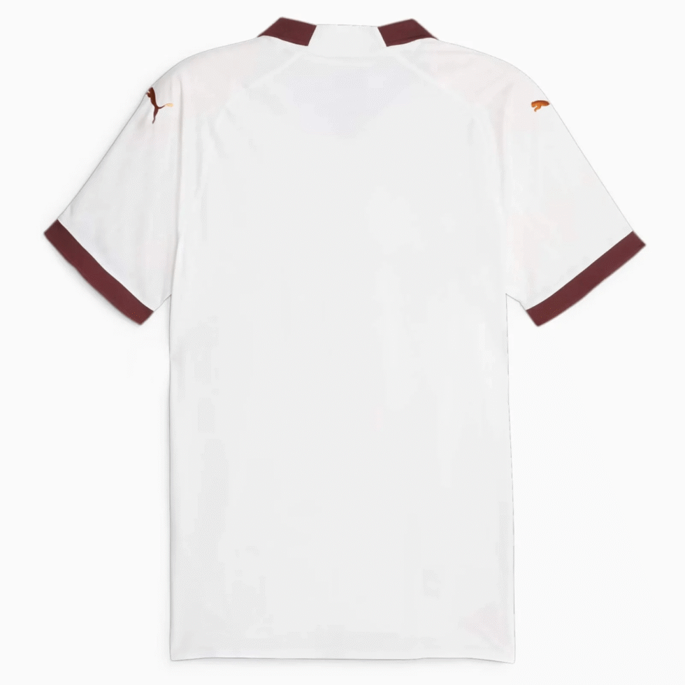 Puma2023-24ManchesterCityMen_sAu-5.png