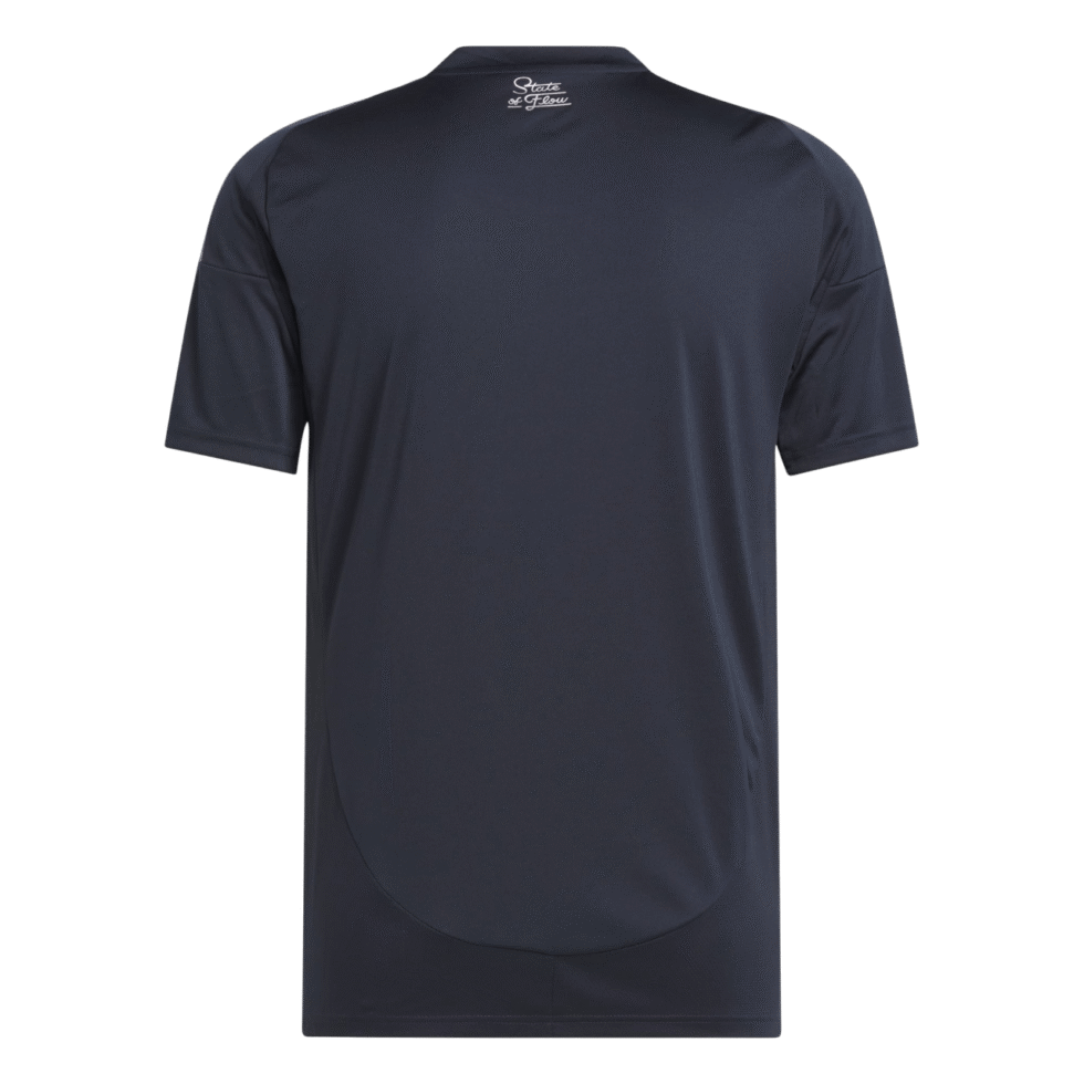 San-Diego-FC-2025-Home-Jersey-Back.png