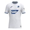 TSG-Hoffenheim-2024-25-Away-Jersey.jpg