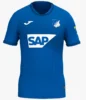 TSG-Hoffenheim-2024-25-Home-Jersey.webp