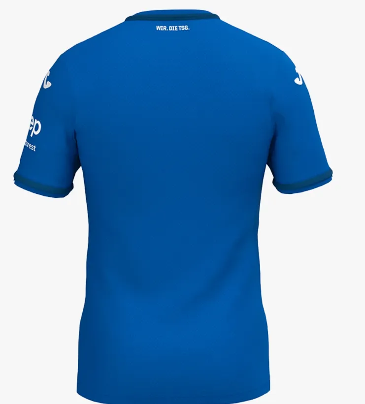 TSG-Hoffenheim-2024-25-Home-Jersey-Back.webp