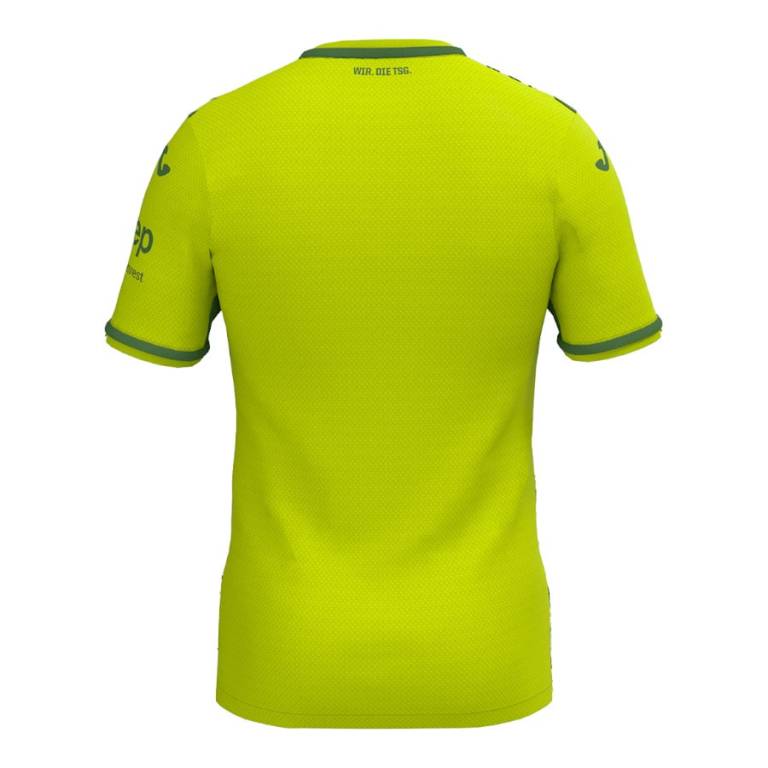 TSG-Hoffenheim-2024-25-Third-Jersey-Back.jpg
