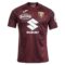 Torino-2024-25-Home-Jersey.jpg