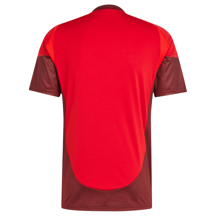 Toronto-FC-2025-Home-Jersey-Back.png