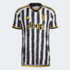 adidas2023-24JuventusMen_sAuthen.png