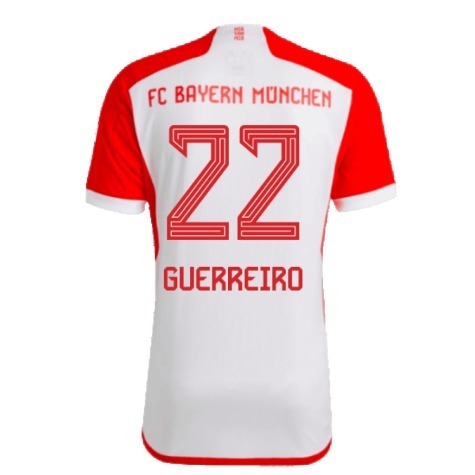 amazon-image-300763-guerreiro-22.jpg