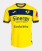 hellas_verona_away_jersey_2023_2024.jpg